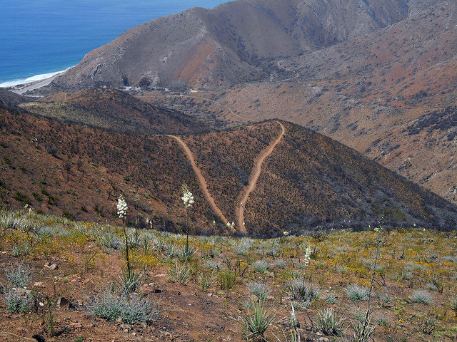 Southern California's New Backpacking Destination: Backbone Trail
