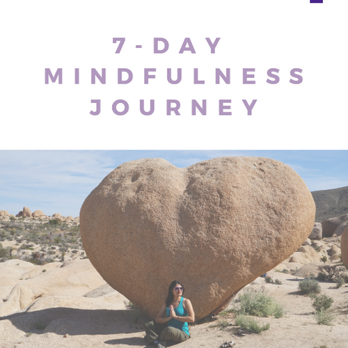7-Day Mindfulness Challenge Companion E-Book