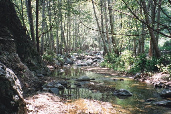 Beginner Hike to Lower Arroyo Seco