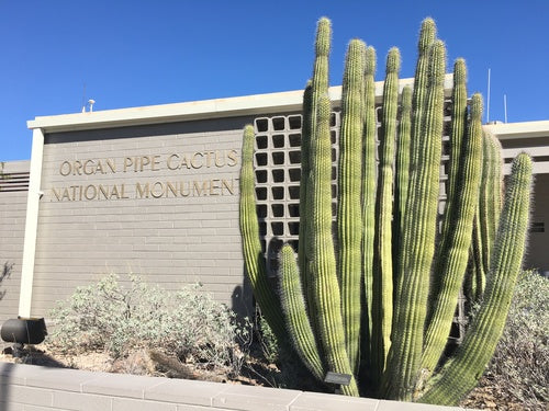 Organ Pipe Cactus National Monument