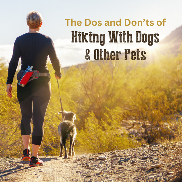 The Dos and Don’ts of Hiking With Dogs and Other Pets