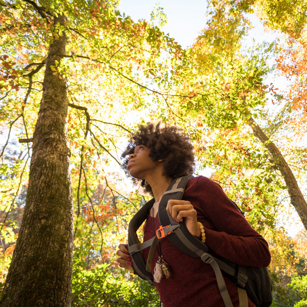 Pandemic Mental Health: The Many Mental Health Benefits Of Hiking