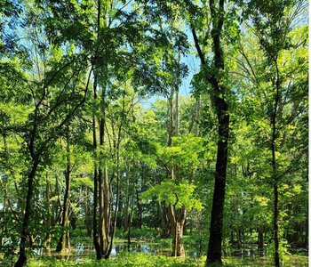 Finisher Feature - Robbie Schneider: Local Hiking Photographer