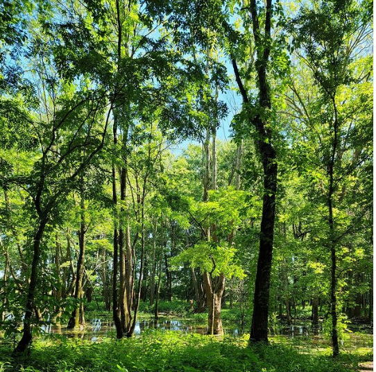 Finisher Feature - Robbie Schneider: Local Hiking Photographer