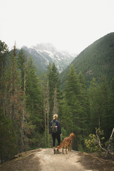 Outdoor First Aid Kit For Your Pets