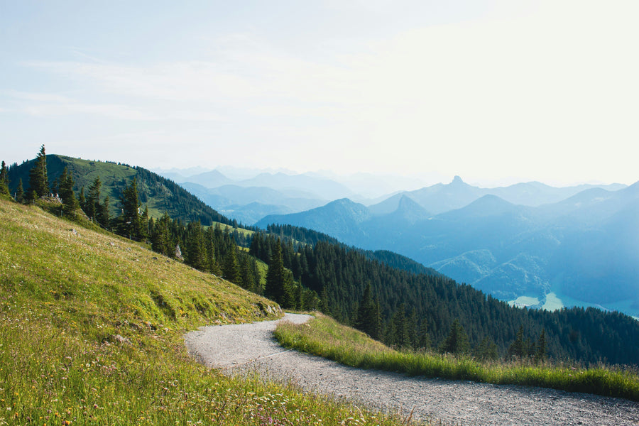 Surviving the Trail: Safety Is Not Optional