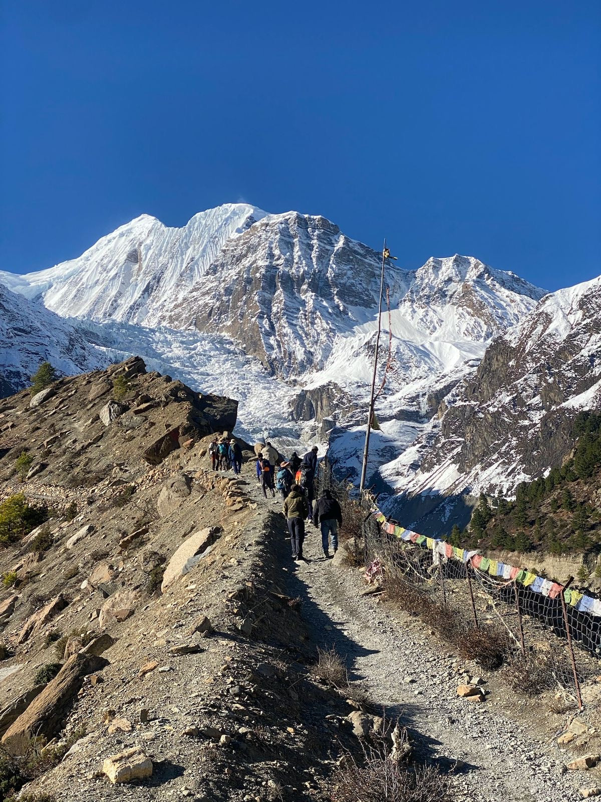 41D2F5ED-244C-40B1-87A0-D66D56E587CD.jpg__PID:07879585-23ee-4ca6-bcdc-b306e529a3ba