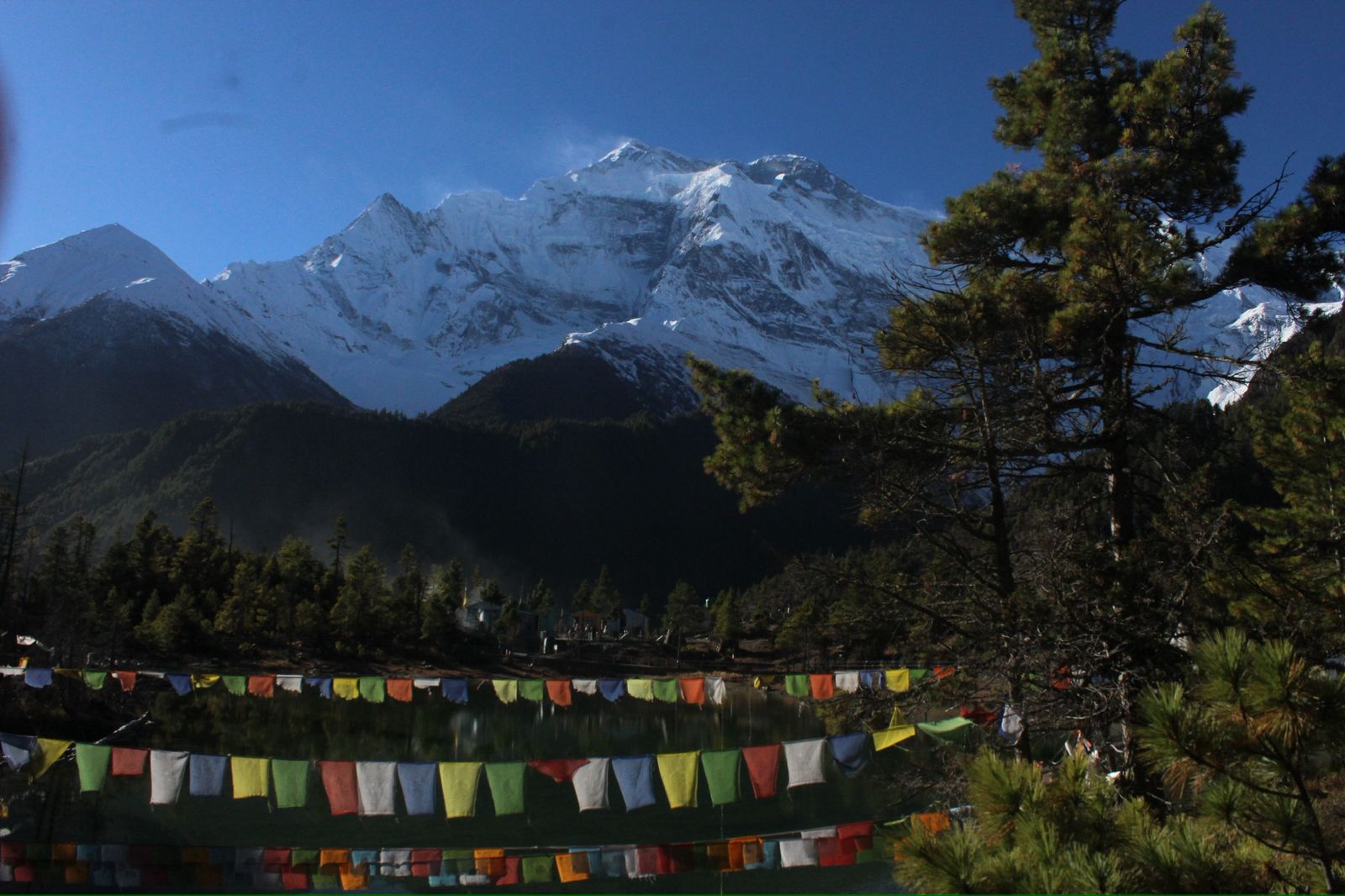 643aaf0a-a748-45dd-902b-97a6e44cd1aa.jpg__PID:87958523-eeec-463c-9cb3-06e529a3ba94