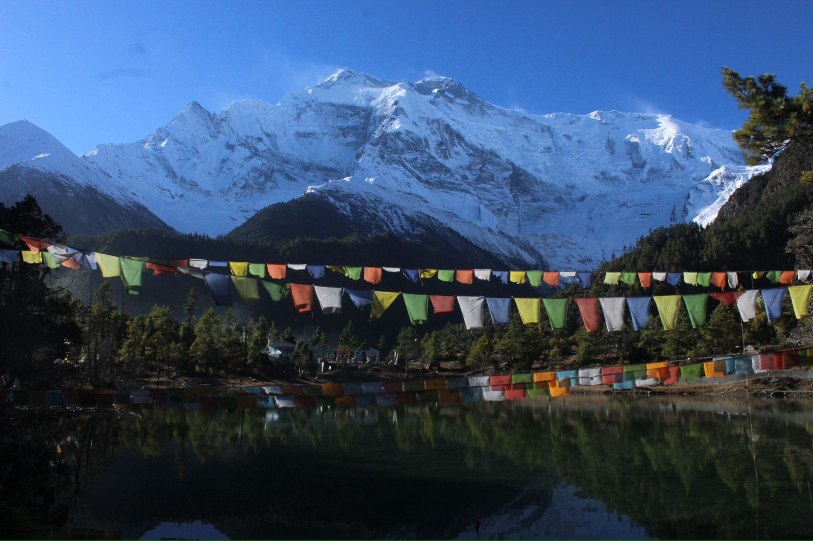 b4989f4f-059a-4cf6-9729-180ad190b756.jpg__PID:b8086e41-d607-4795-8523-eeeca63cdcb3