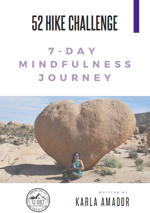 7-Day Mindfulness Challenge Companion E-Book
