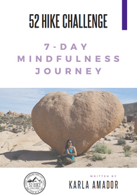 7-Day Mindfulness Challenge Companion E-Book